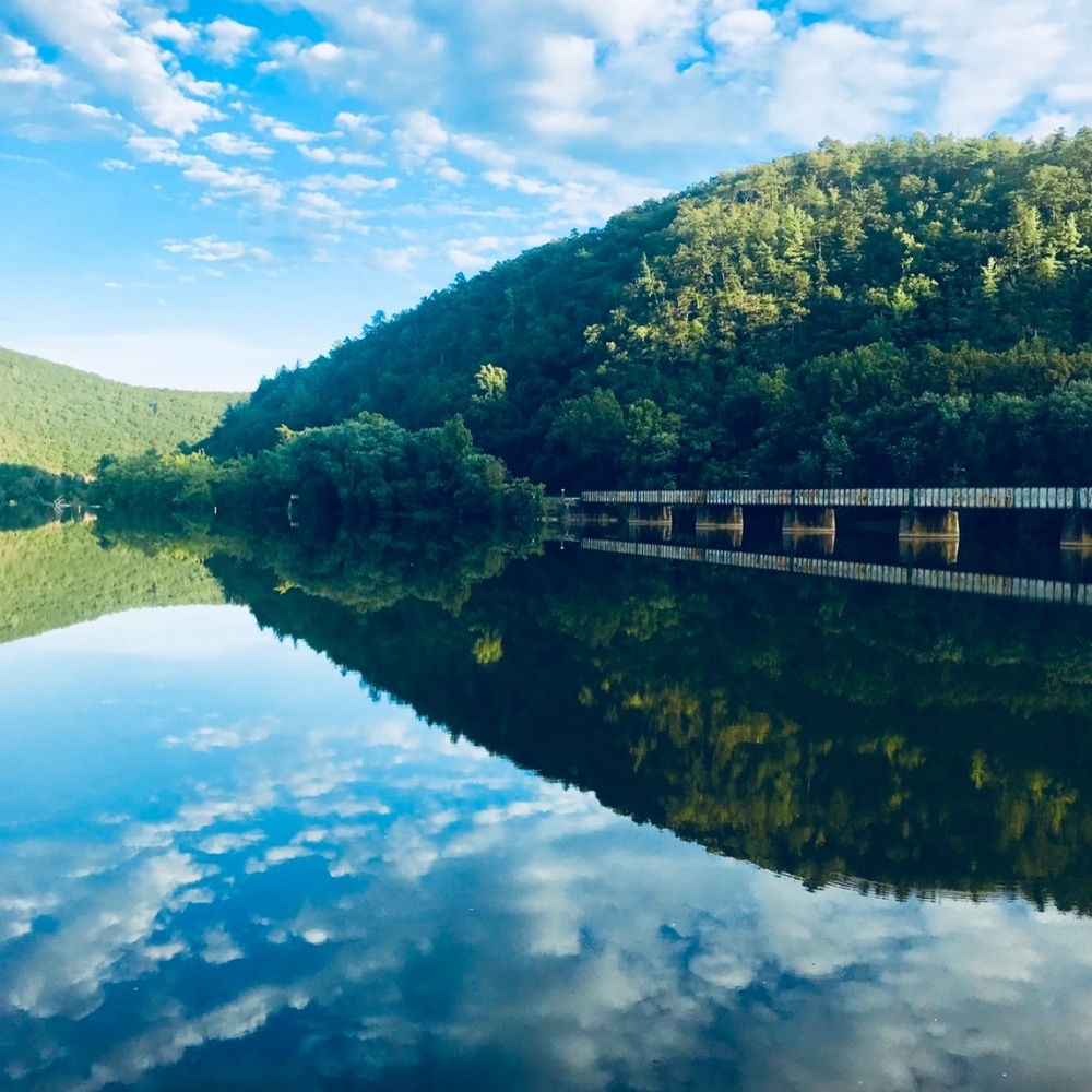 Meet your Posher, Jacqui